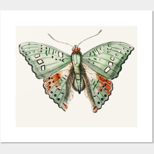 Green Butterfly Posters and Art